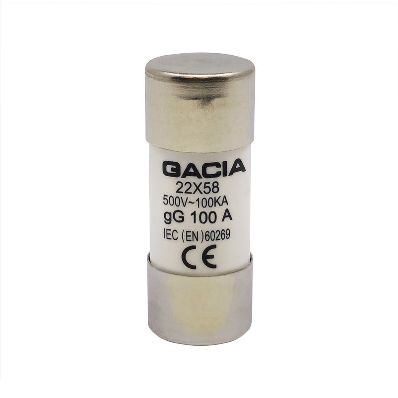 22x58 gG 100A cylindrical fuse link 500VAC