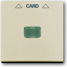 Basic55 bēšs Centrālā plate kartes slēdzim