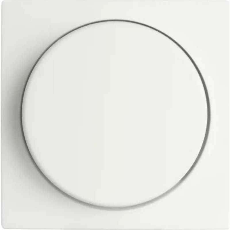 ION Industries V1/J1/D1 Balta matēta Centrālā plate dimmerim