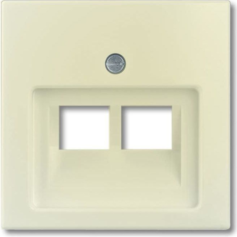 Basic55 bēšs Centrālā plate RJ45x2