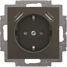 Basic55 chateau-black Rozete ar USB Tips A+A